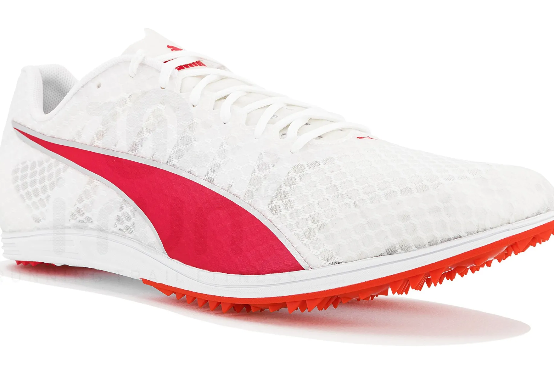 Puma evoSPEED Distance 11