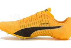 Puma evoSPEED Future 6