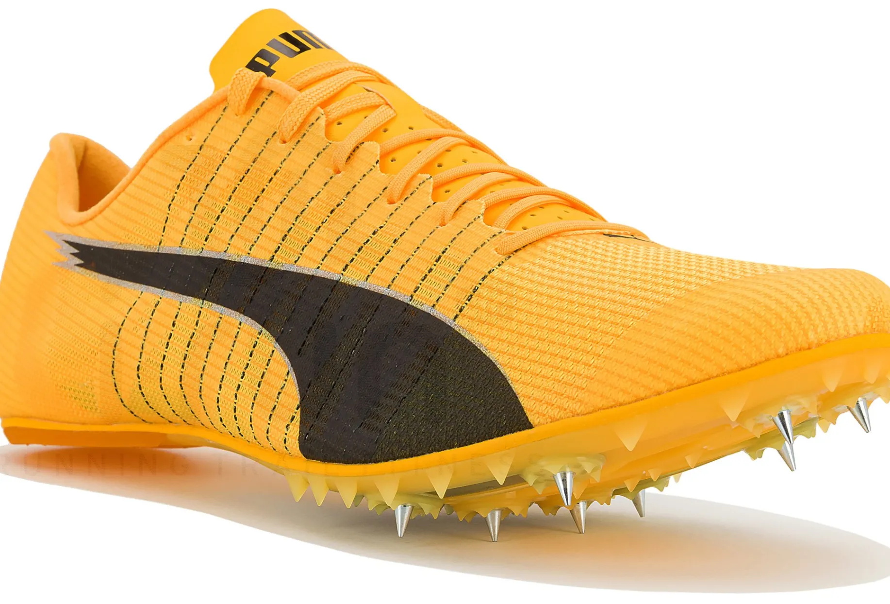 Puma evoSPEED Future 6