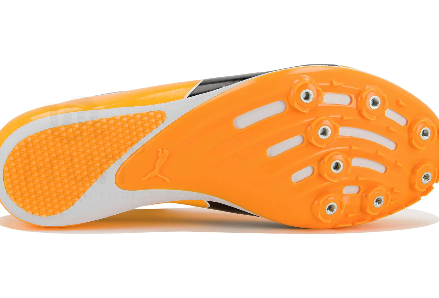 Puma evoSPEED Sprint 14.5