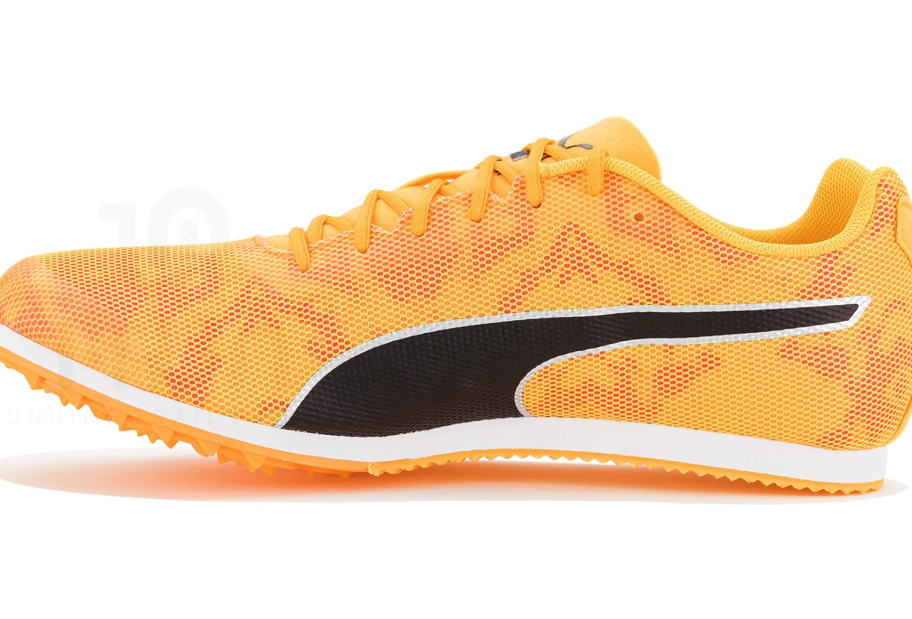 Puma evoSPEED Star 8