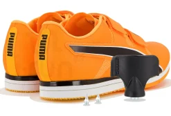 Puma evoSPEED Triple Jump / PV12