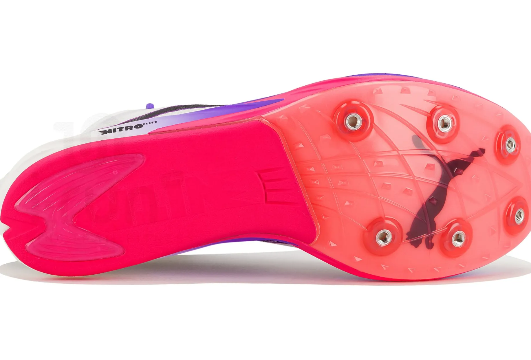 Puma Long Distance Nitro Elite 3 x Digitokyo