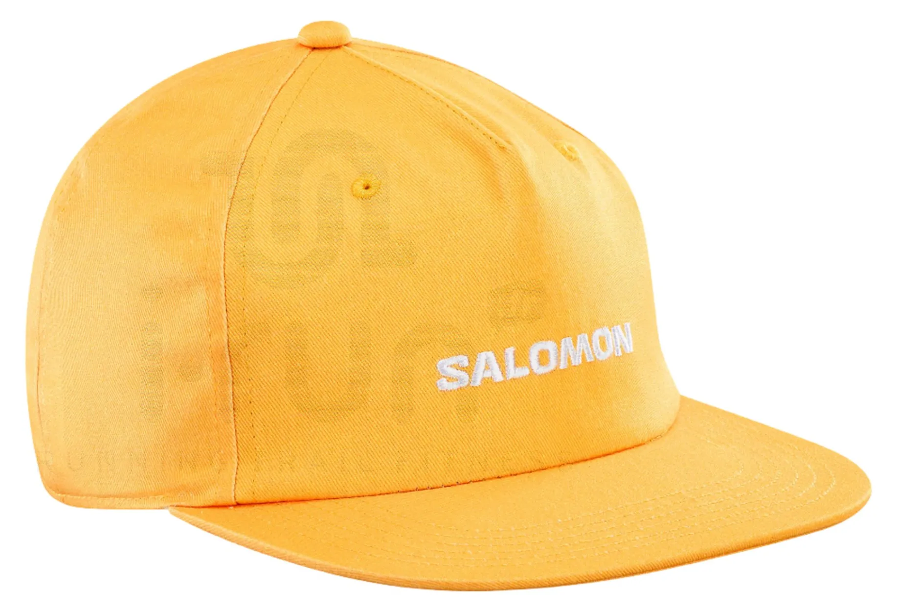 Salomon Cap Flat