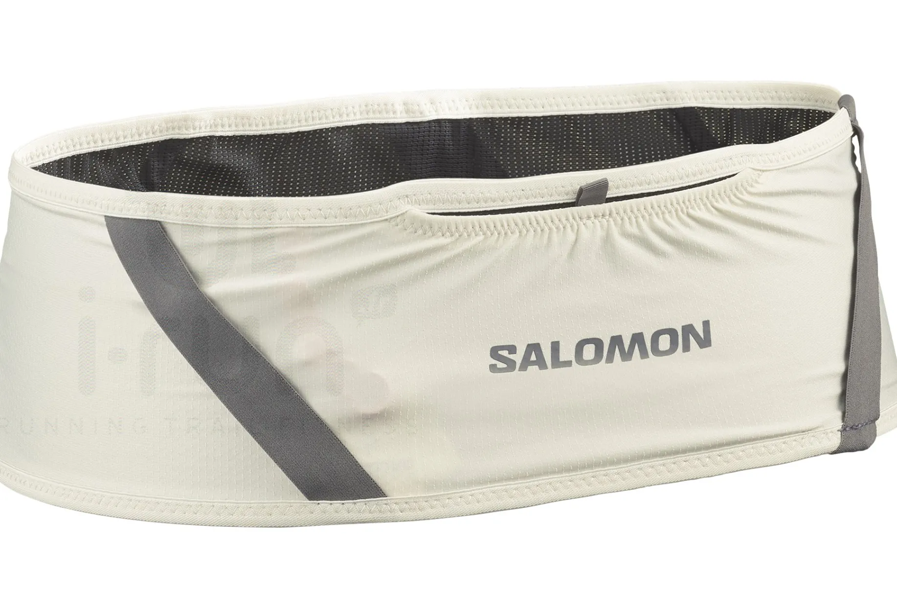 Salomon Pulse