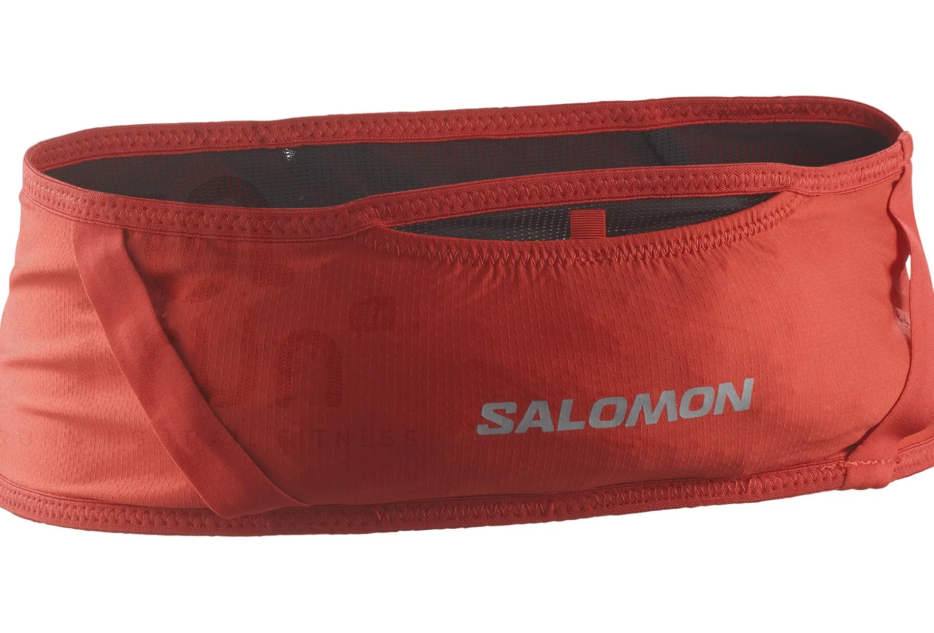 Salomon Pulse