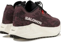 Salomon Aero Glide 4 GRVL
