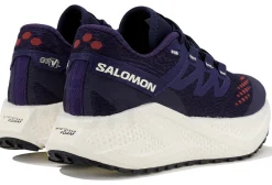 Salomon Aero Glide 3 GRVL