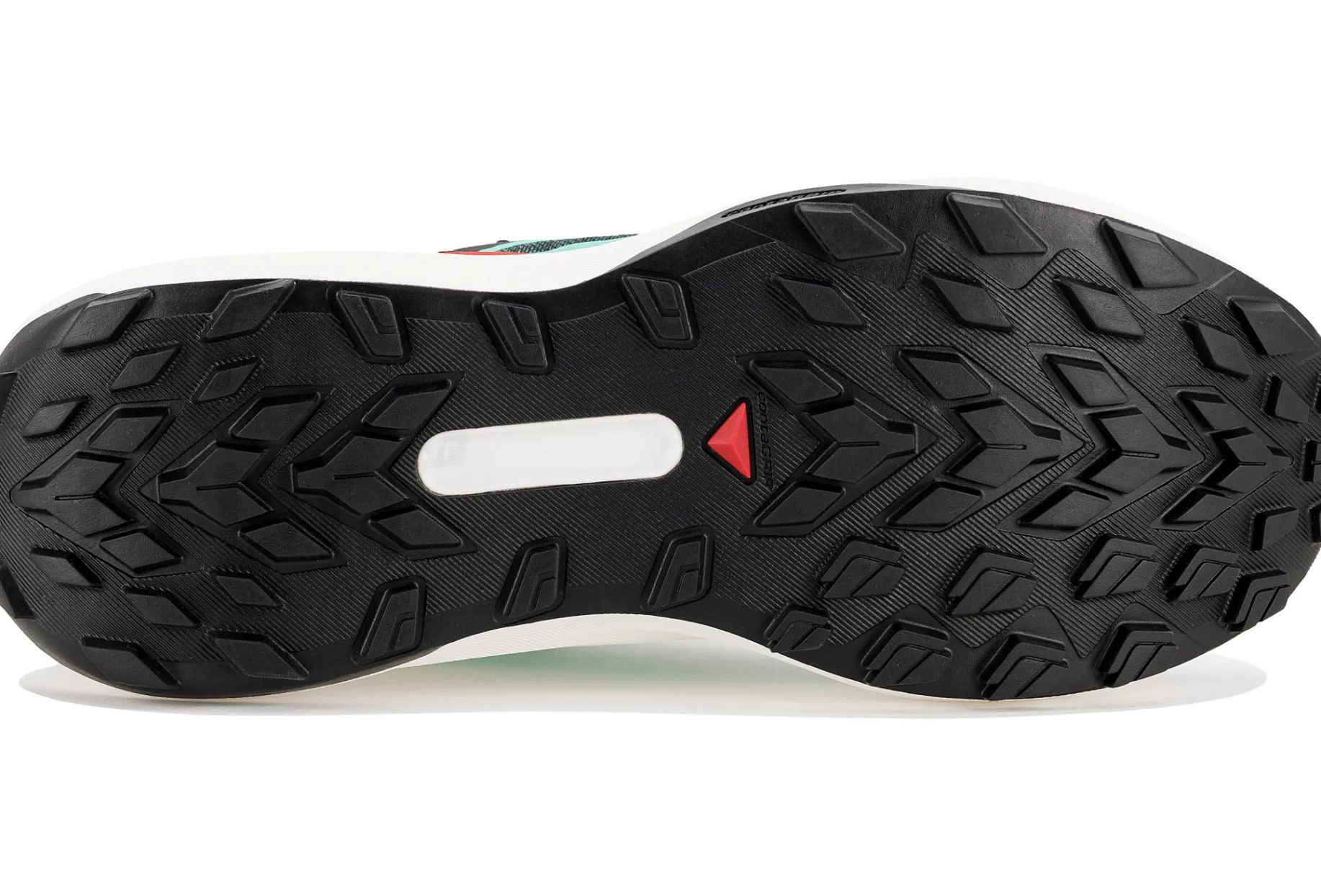 Salomon Genesis