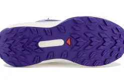 Salomon Genesis Quiver Pack