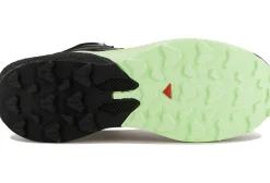 Salomon Pulsar