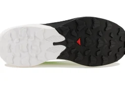 Salomon Pulsar