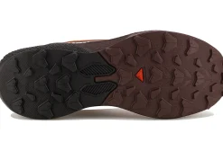 Salomon Pulsar Quiver Pack