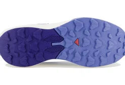 Salomon Pulsar Quiver Pack