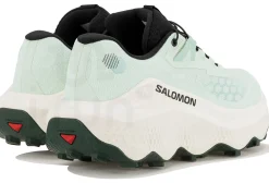 Salomon Ultra Glide 4