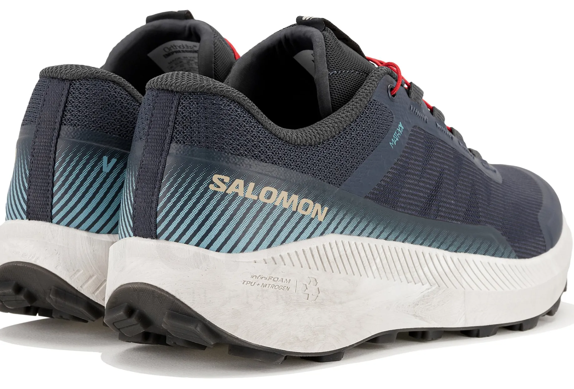 Salomon Vision