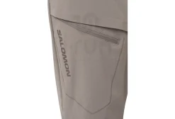 Salomon Wayfarer