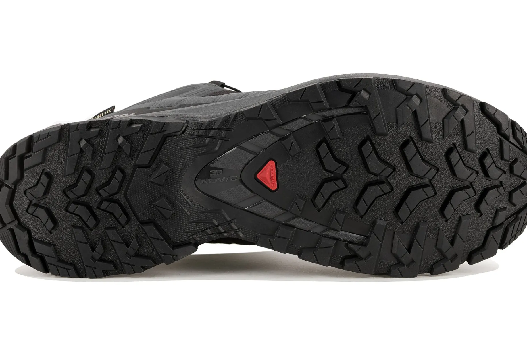 Salomon XA PRO 3D v9 Gore-Tex