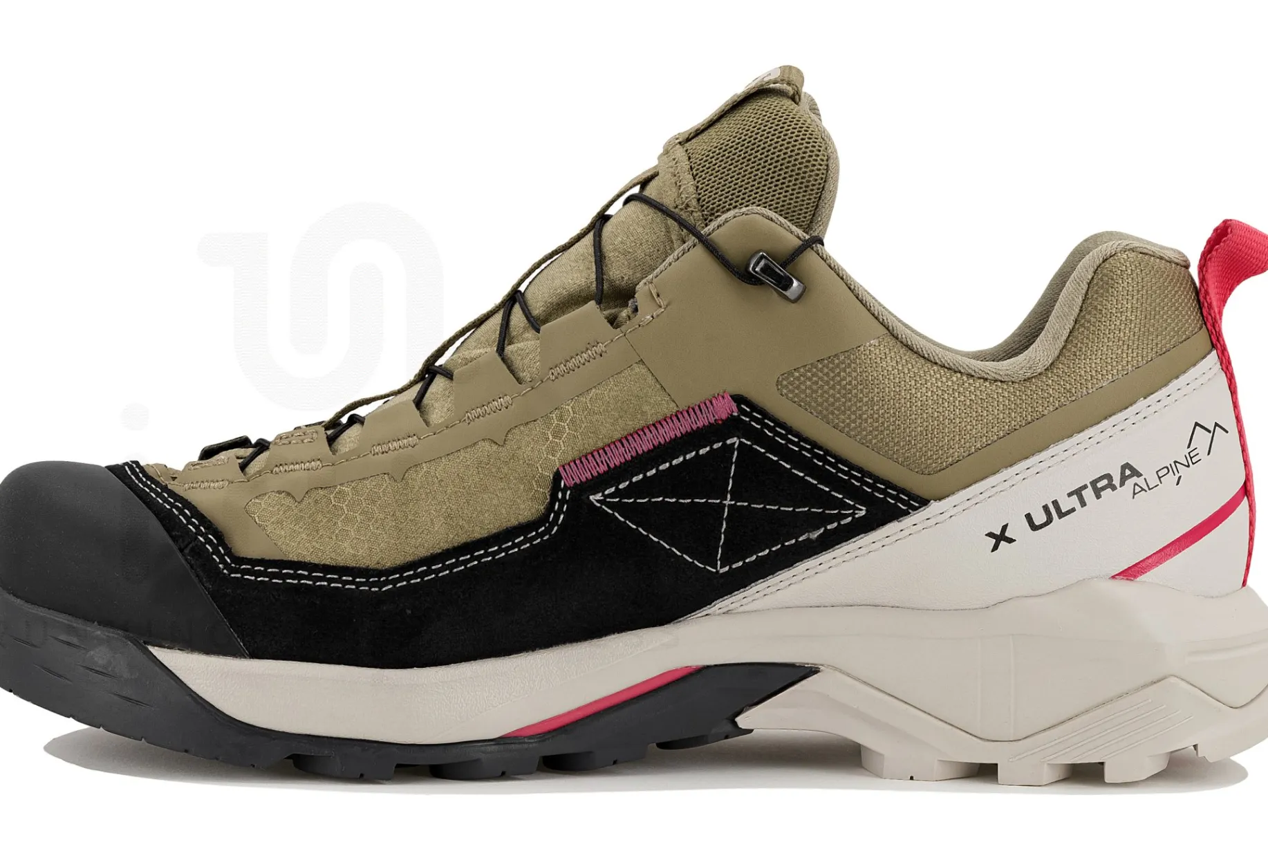 Salomon X Ultra Alpine Gore-Tex