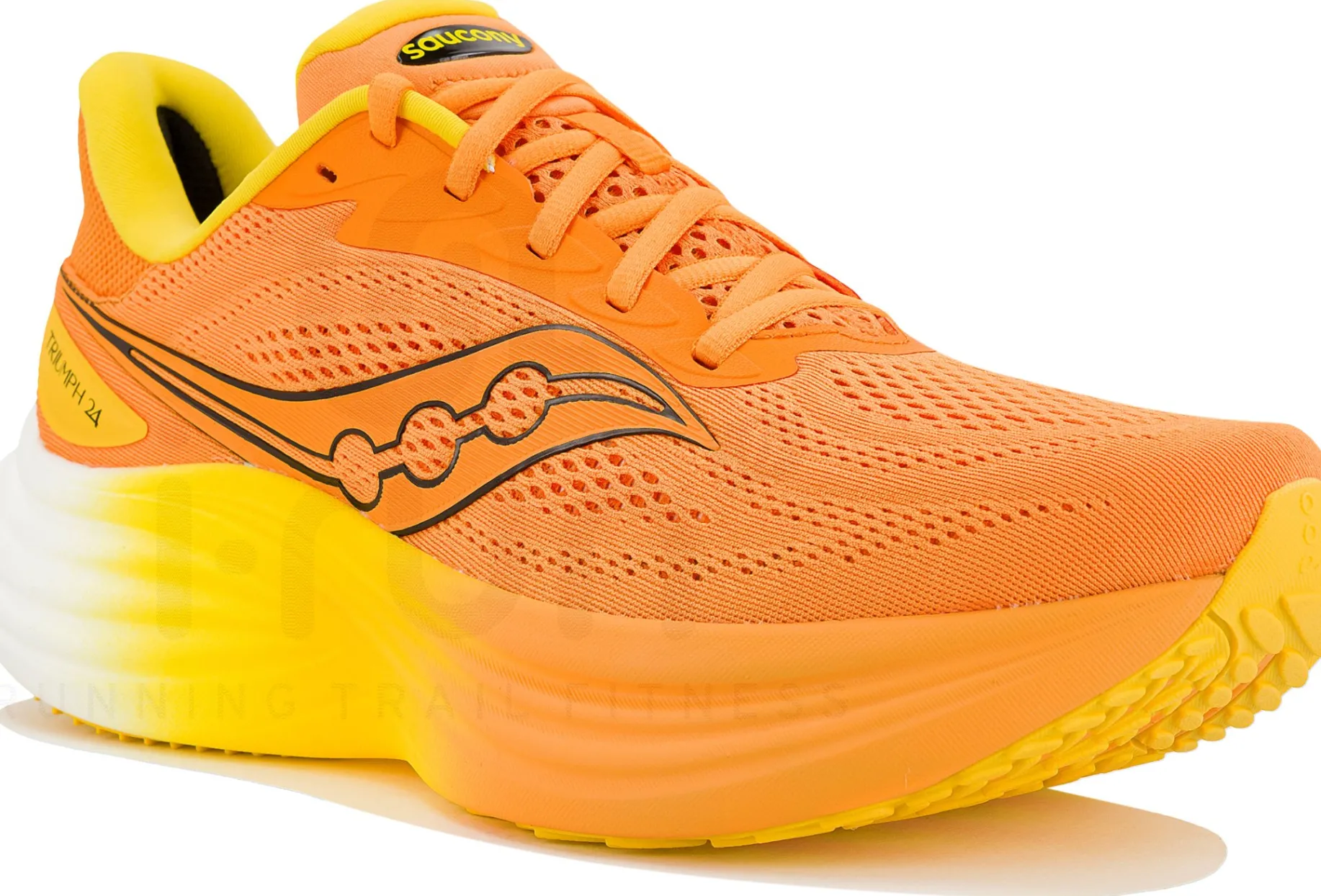 Saucony Triumph 24