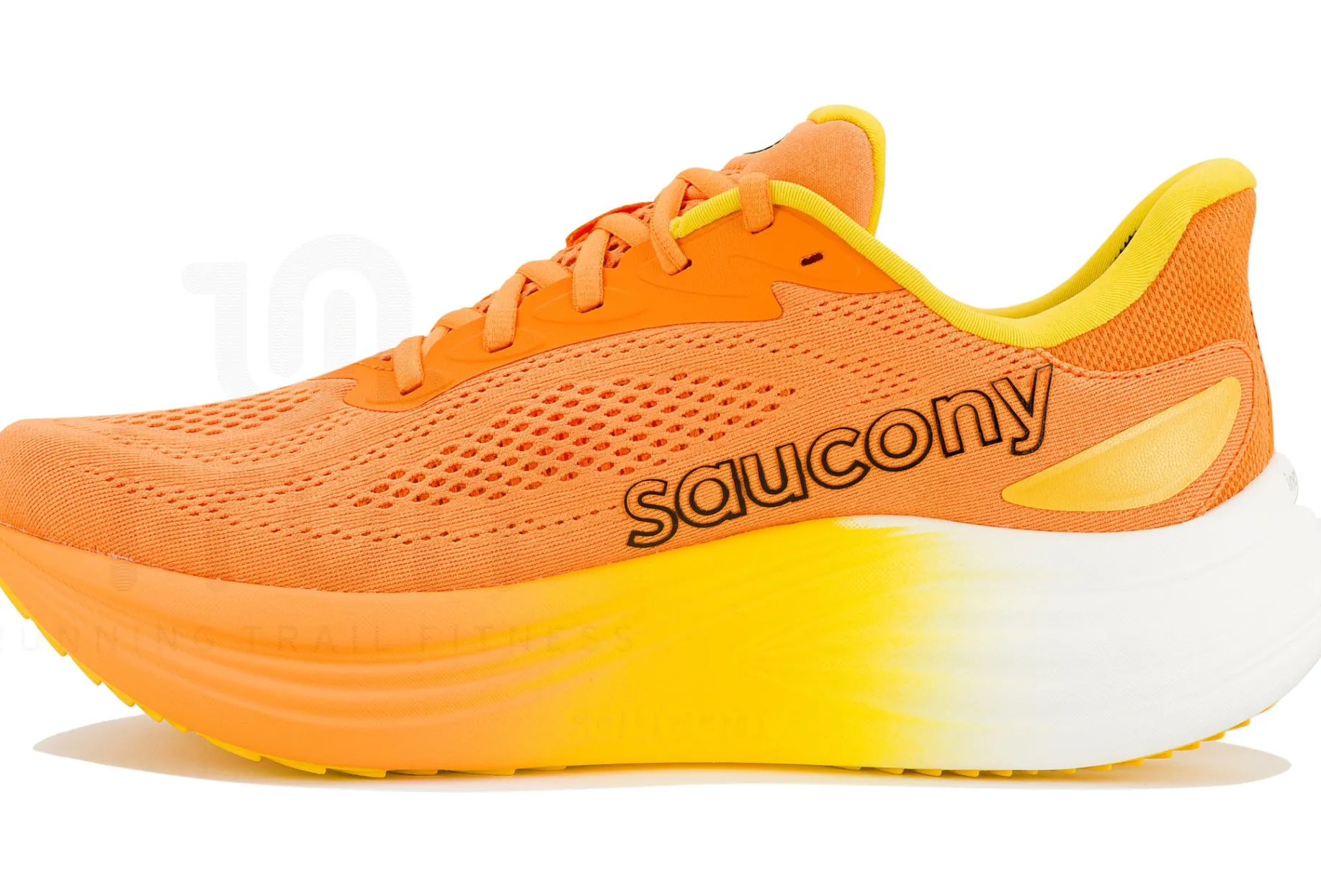 Saucony Triumph 24