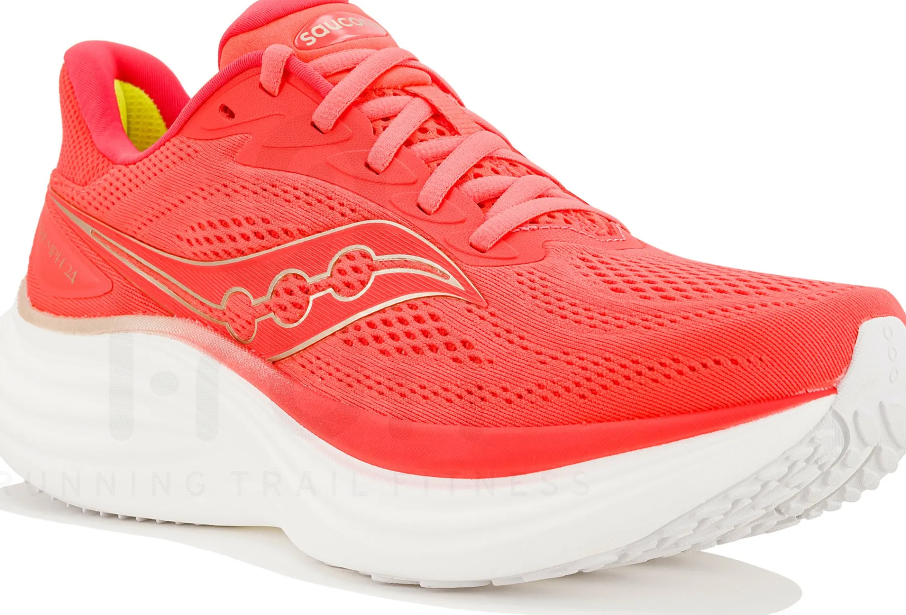 Saucony Triumph 24