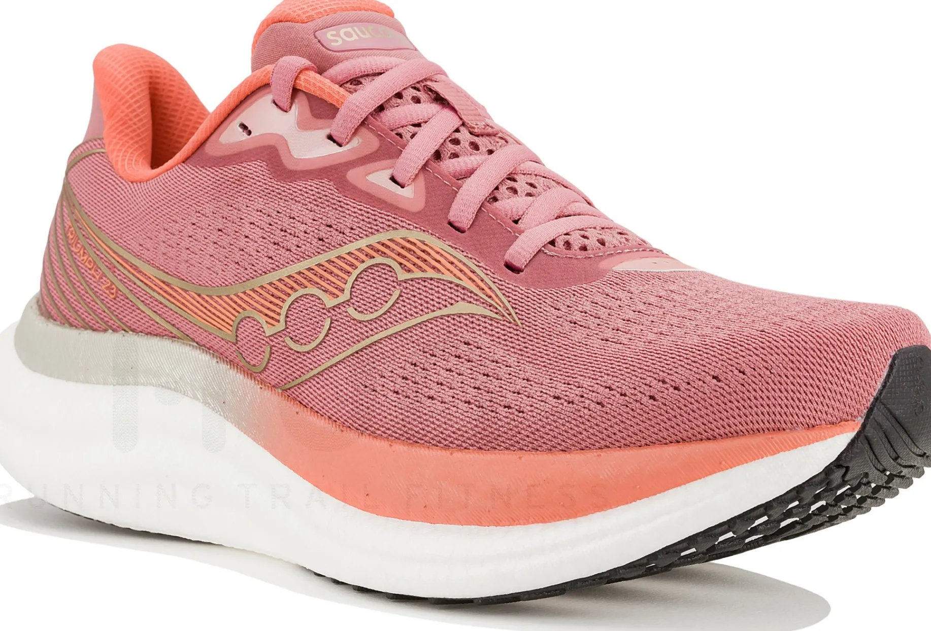 Saucony Triumph 23