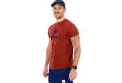 Saysky Logo Combat Logo