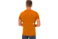 Saysky Logo Pace Logo