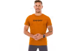 Saysky Logo Pace Logo